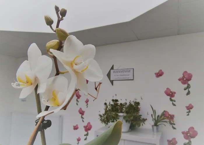 Aparthotel La Providence Zenao Lisieux